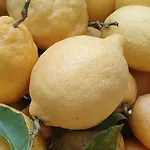 Casa Nannina בית הארחה